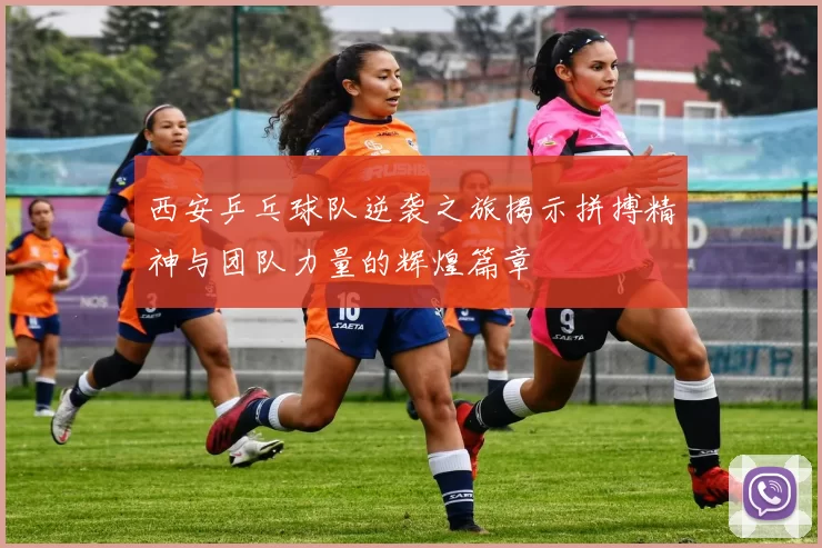 西安乒乓球队逆袭之旅揭示拼搏精神与团队力量的辉煌篇章