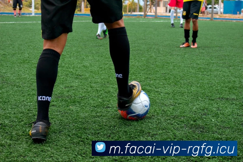 乐鱼体育APP 封面图